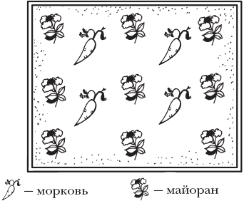 Огород. Как получить сверхурожай - _09.png