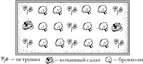 Огород. Как получить сверхурожай - _10.png