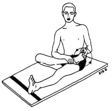 Асана, пранаяма, мудра, бандха - image04.jpg