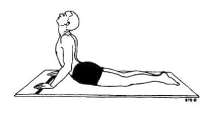 Асана, пранаяма, мудра, бандха - image100.jpg