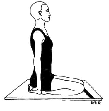 Асана, пранаяма, мудра, бандха - image52.jpg