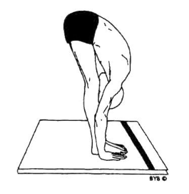 Асана, пранаяма, мудра, бандха - image86.jpg