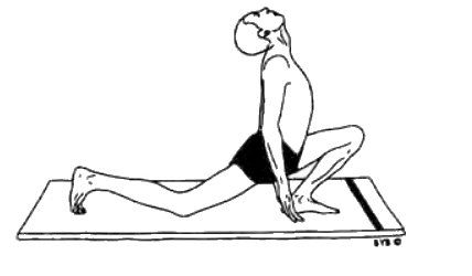 Асана, пранаяма, мудра, бандха - image87.jpg