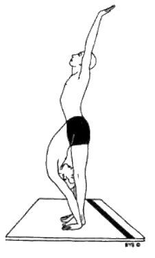 Асана, пранаяма, мудра, бандха - image128.jpg