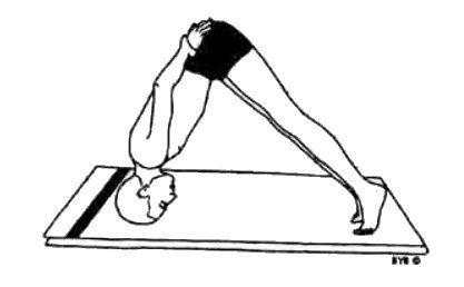 Асана, пранаяма, мудра, бандха - image138.jpg