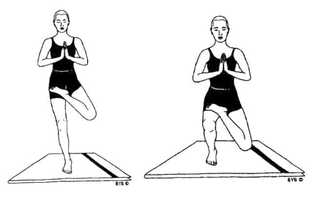 Асана, пранаяма, мудра, бандха - image170.jpg