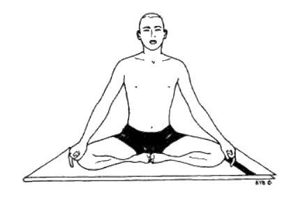 Асана, пранаяма, мудра, бандха - image192.jpg