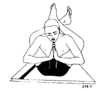 Асана, пранаяма, мудра, бандха - image197.jpg