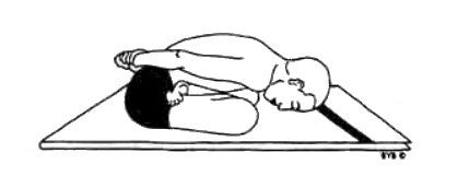 Асана, пранаяма, мудра, бандха - image217.jpg