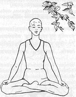 Хатха-йога Прадипика - _58.jpg