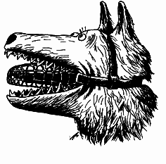 Наше всё – всё наше - i_051.png