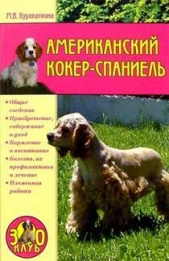 Куропаткина Марина Владимировна - Американский кокер-спаниель