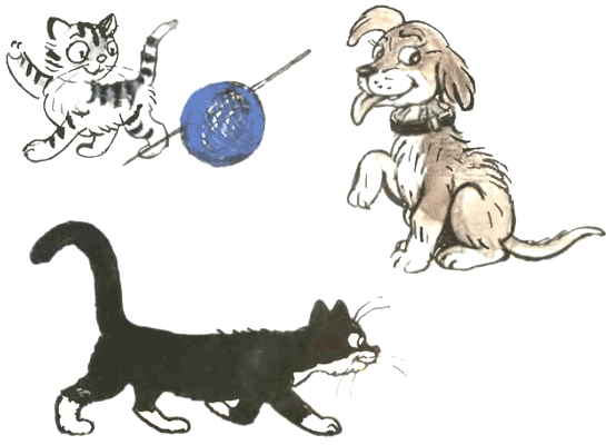 Жила была лягушка (рис. Сутеева) - i_015.png