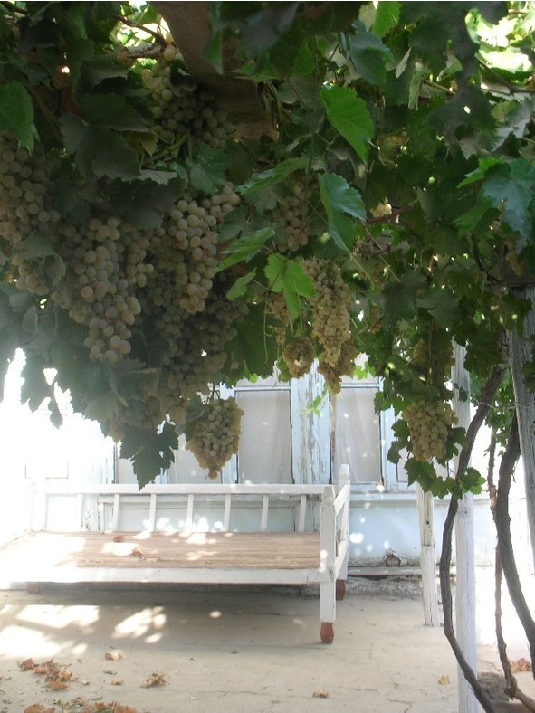 Чётки - image12_548e57c03767386b10806b7e_jpg.jpeg