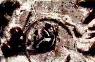 Юный техник, 1956 № 01 - _17.jpg