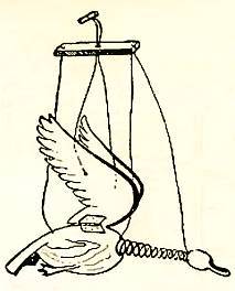 Юный техник, 1956 № 03 - _84.jpg