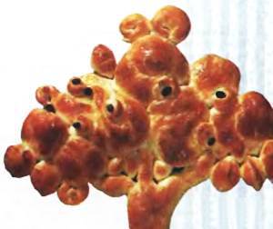 Юный техник, 2000 № 03 - _54.jpg