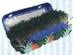 Юный техник, 2000 № 03 - _57.jpg