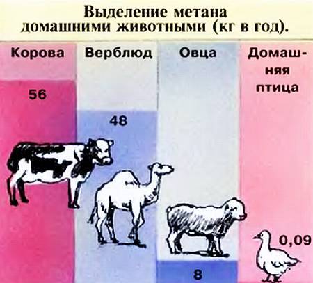 Юный техник, 2001 № 01 - _12.jpg