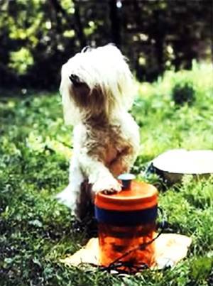 Юный техник, 2001 № 05 - _06.jpg