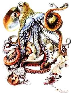 Юный техник, 2001 № 11 - _53.jpg