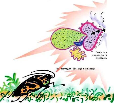 Юный техник, 2002 № 03 - _11.jpg