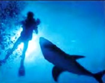 Юный техник, 2002 № 12 - _77.jpg