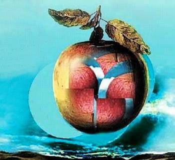 Юный техник, 2005 № 07 - _19.jpg