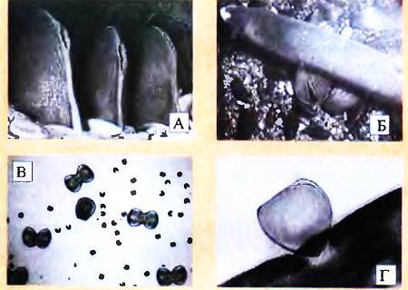 Юный техник, 2006 № 02 - _25.jpg