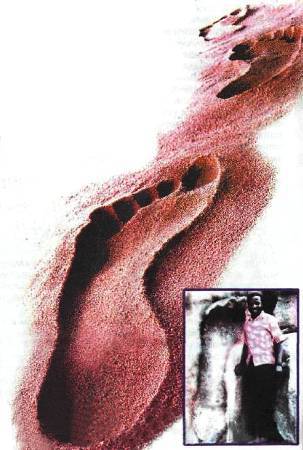 Юный техник, 2006 № 05 - _27.jpg