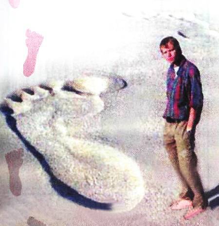 Юный техник, 2006 № 05 - _28.jpg