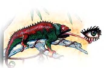 Юный техник, 2006 № 12 - _38.jpg