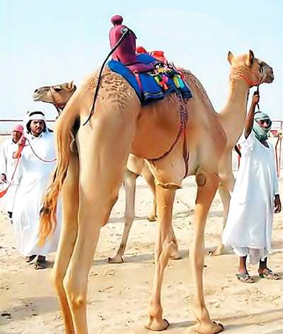 Юный техник, 2007 № 05 - _23.jpg