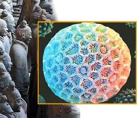 Юный техник, 2007 № 08 - _39.jpg