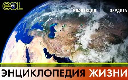 Юный техник, 2007 № 10 - _19.jpg