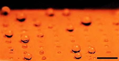 Юный техник, 2007 № 10 - _29.jpg