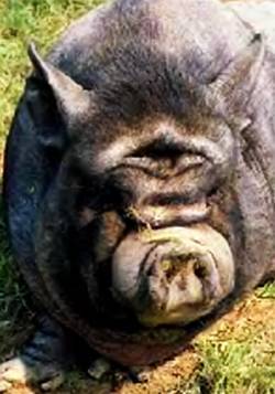 Юный техник, 2007 № 10 - _33.jpg