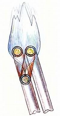 Юный техник, 2007 № 10 - _58.jpg