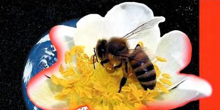 Юный техник, 2007 № 12 - _29.jpg