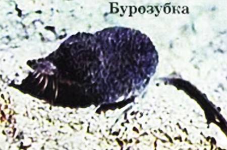 Юный техник, 2008 № 07 - _14.jpg