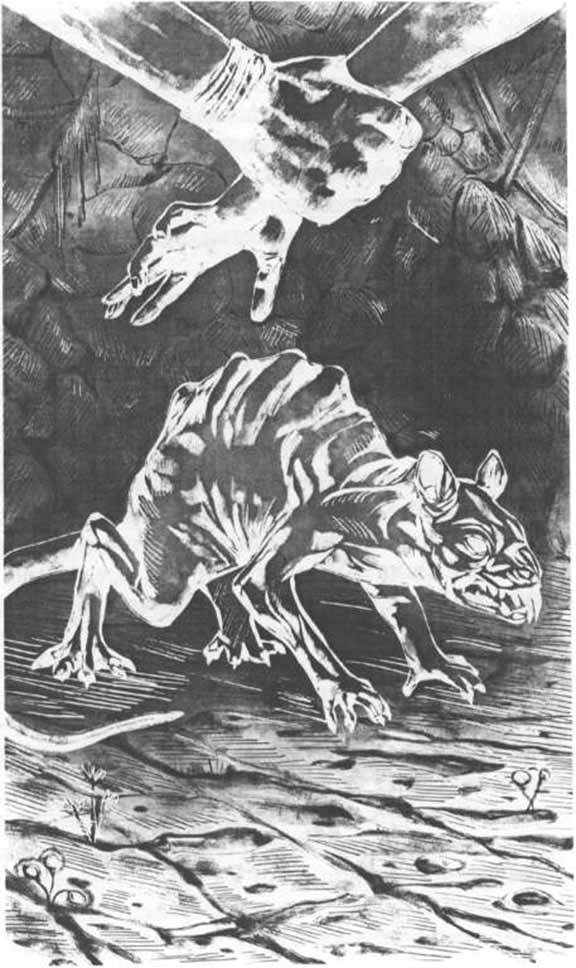 Герой Нижнеземья - Img00004.jpg