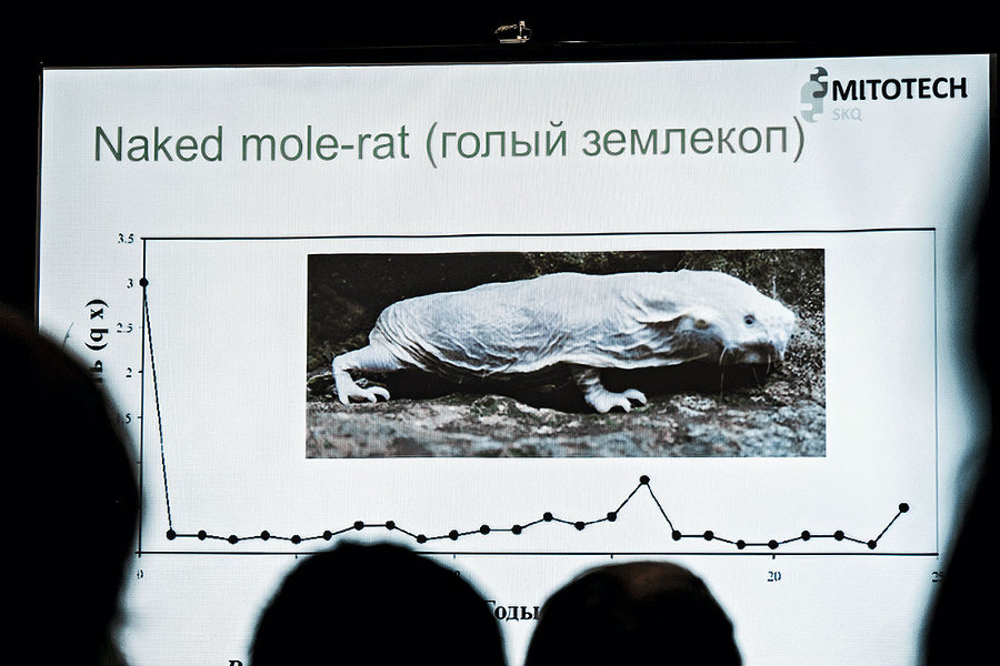 Почему наш мир таков, каков он есть. Природа. Человек. Общество (сборник) - i_006.jpg