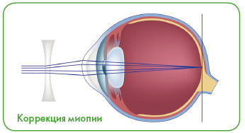 Энциклопедия диагностики и лечения от А до Я - i_043.jpg