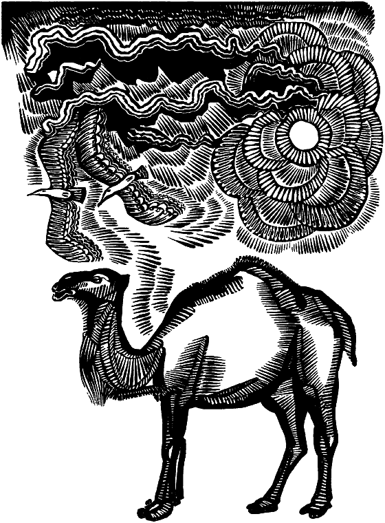 Два лика пустыни - i_001.png