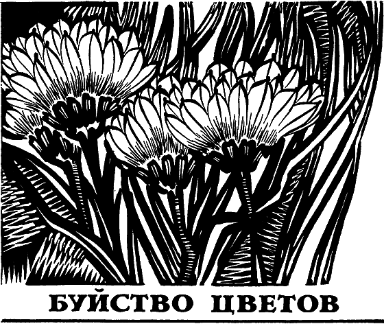 Два лика пустыни - i_019.png