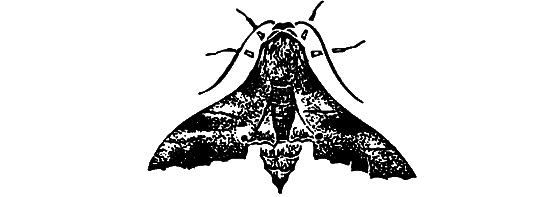 Два лика пустыни - i_020.png