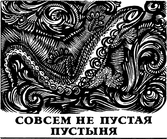 Два лика пустыни - i_023.png