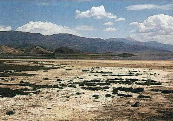 Два лика пустыни - i_044.jpg