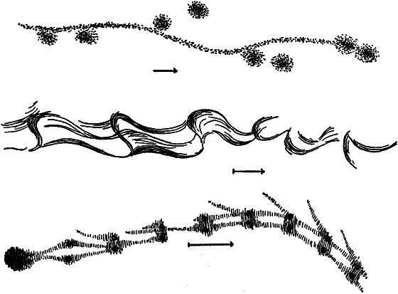 Забытые острова - i_024.png