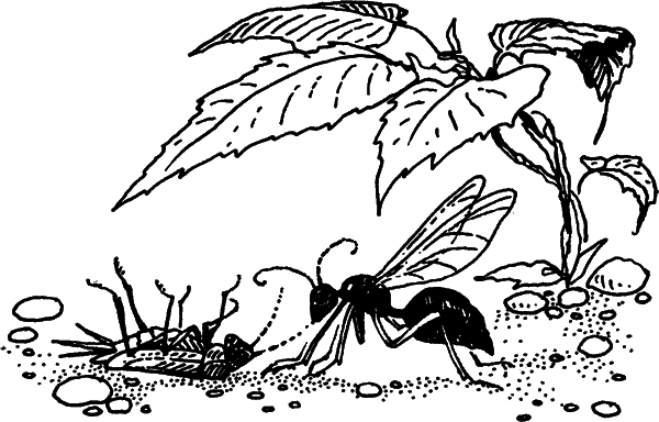 Загадки остались - i_014.png